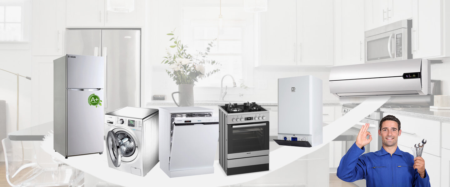 Kadınhanı Electrolux Servisi